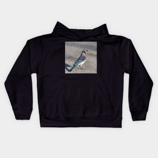 Blue Jay in Parking Lot Kids Hoodie